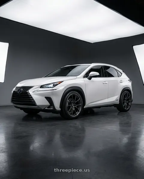 2019 Lexus NX with Volk Racing G025 5x114.3 20x9.5 +40 MATTE GUNBLACK / DC wheels